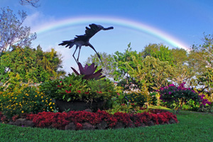 Rainbow over the gardens behind Hotel Bougainvillea.