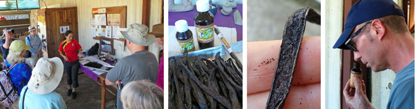 Tour guide explaining where vanilla comes from (L); the cured beans and extracts (LC); a seed pod opened to release the tiny black seeds (RC); Jeff smells a bottle of vanilla extract (R).