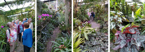 Ileana tells the group about some of the orchids (L) in the larger greenhouse (LC) filled with lush foliage and fountains (RC and R).