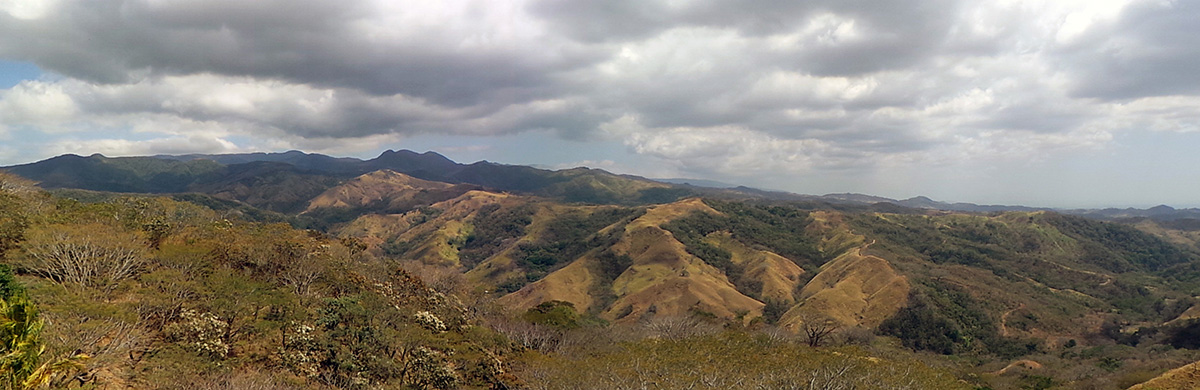 Panoramic view of the tropical dry forest.