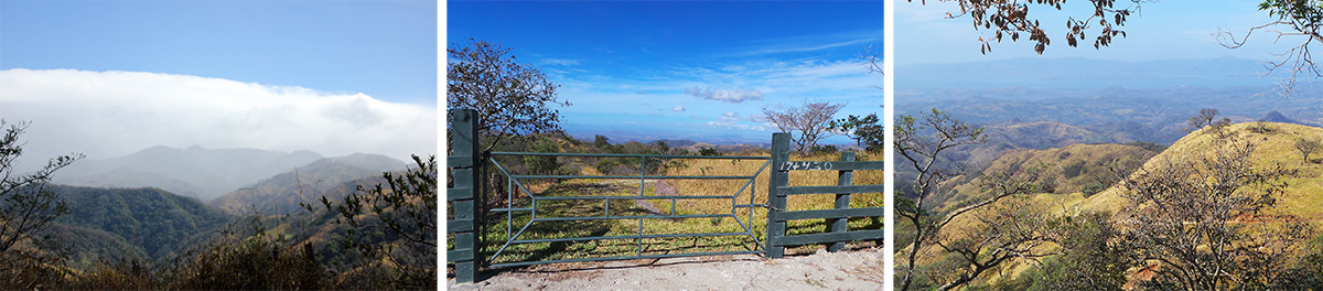 Clouds on the mountain (L), farm gate (C), and golden hills with Gulf of Nicoya in the distance.