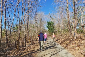 Jim, Maureen and Carol walk through the dry tropical forest.