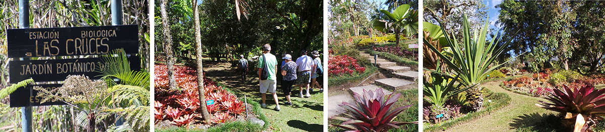 Entrance to Las Cruces Biological Station (L) and scenes from Wilson Botanic Garden.