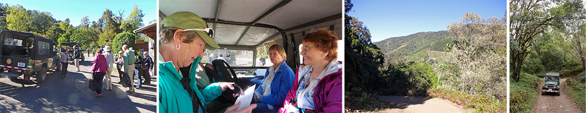 Getting into the 4WD vehicles at Savegre Lodge (L), Mary, Barb and Marilyn inside one vehicle (LC), looking back while driving up (RC), and on the road into the forest (R).