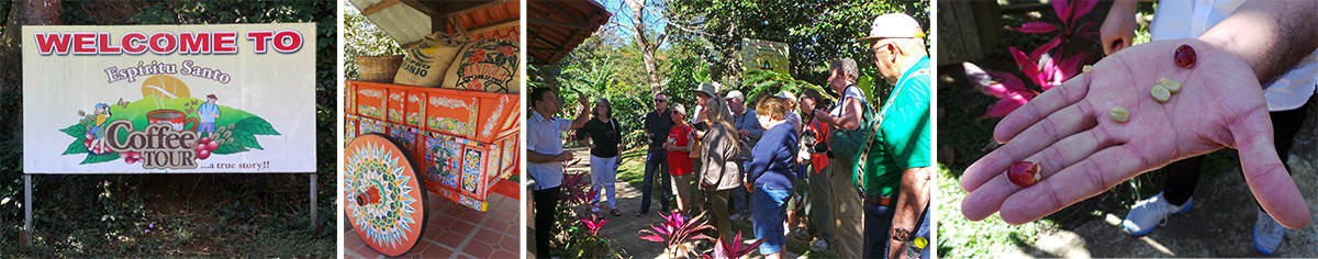 The entrance to the coffee tour (L), a display of old-time coffee bags and typical wooden oxcart (LC), Ronnie tells the group about coffee fruits (RC) and shows the seeds (“beans” inside the red pulpy fruit (R).