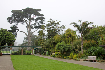 San Francisco Botanical Garden Master Gardener Program